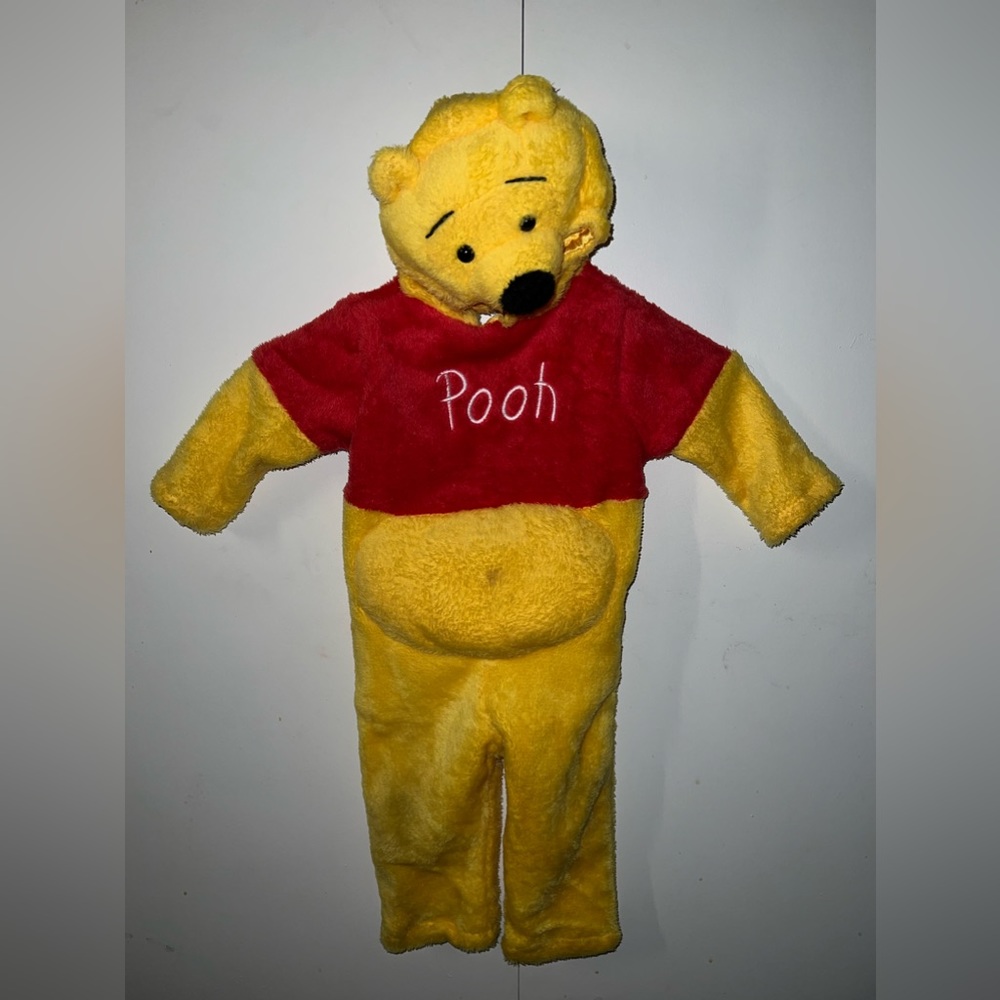 winnie the pooh costume